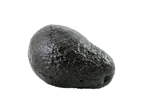 Aguacate Negro