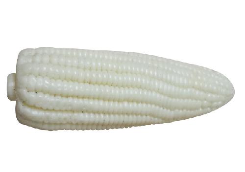 Elote Blanco