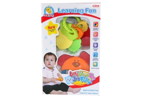 LEARNING FUN RATTLE BIG SET 2