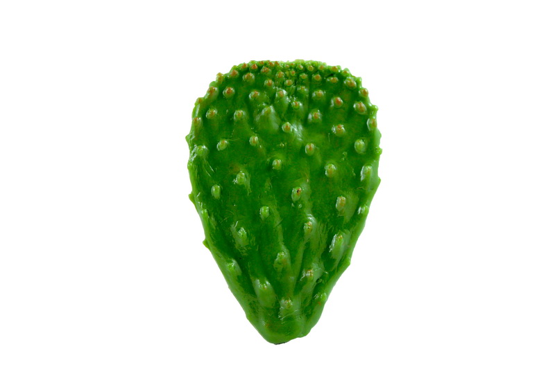 Nopal